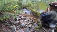 Video thumb for Very tiny creek. Tons of fish!