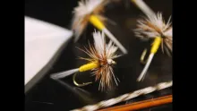 Video thumb for Flats Wing PMD - Mayfly Dun