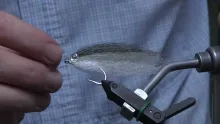 Video thumb for Shad Fly