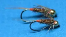 Video thumb for Polish Pheasant Tail Nymph 