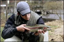 User submitted picture: Rainbow Trout