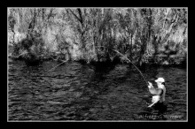 User submitted picture: Malleo River, Neuquen, Pa...