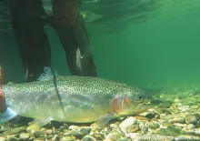 User submitted picture: Releasing a rainbow