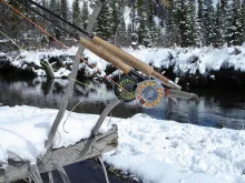 User submitted picture: A very cold day, but it s...