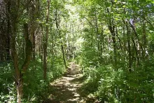 User submitted picture: Should I walk faster to g...