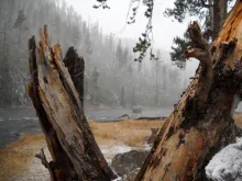 User submitted picture: You may wonder what this ...