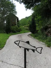 User submitted picture: Just Fun ! by guidepechem...