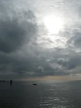 User submitted picture: Kasper in a great setting