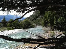 User submitted picture: Wading a Patagonia Argent...