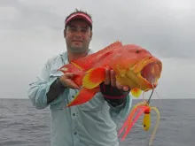 User submitted picture: Swallowtail Rock Kod take...