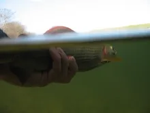 User submitted picture: Off You Go!!