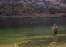 User submitted picture: Casting in the calm backw...