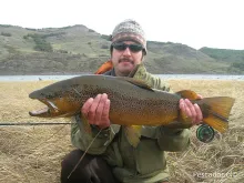 User submitted picture: A huge brown trout, lande...