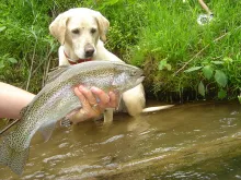 User submitted picture: North Georgia Rainbow