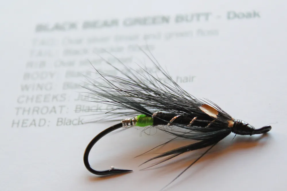 User submitted picture: Black Bear Green Butt