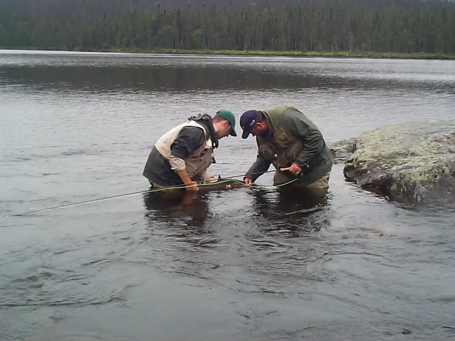 User submitted picture: Free Landlocked Salmon