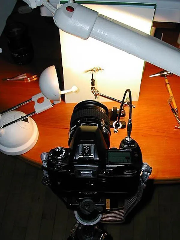 Two lamps - A simple two-lamp setup: a neutral light florescent lamp overhead and a cheap halogen lamp as a fill light. A piece of white paper as the background, and you\'re all set. Notice the \"remote\" trigger - an old fashioned mechanical cable trigger - which helps avoid shake.