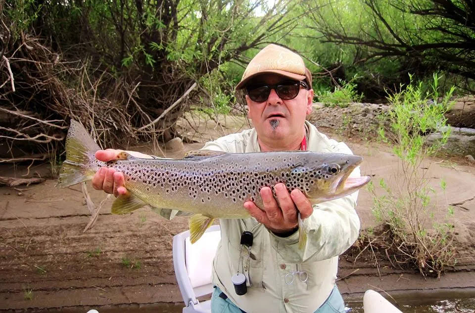 User submitted picture: Great Brown of Aluminé river