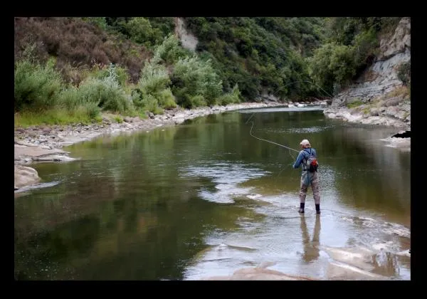 User submitted picture: ...on dry fly