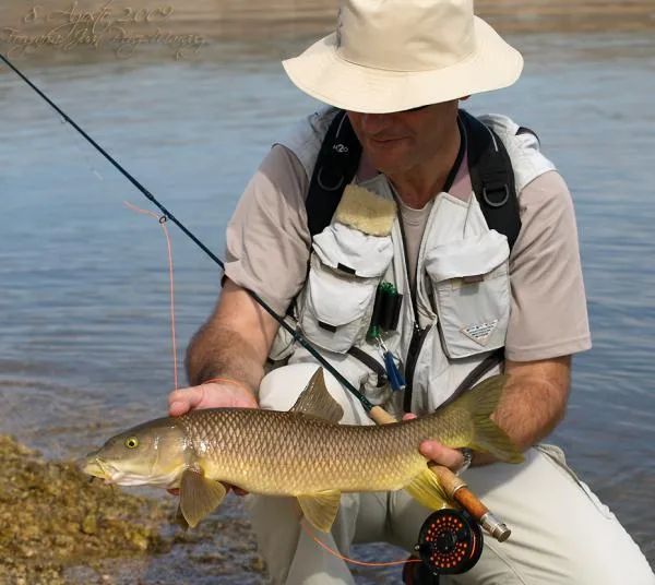 User submitted picture: Summer barbel extremeÃ±o