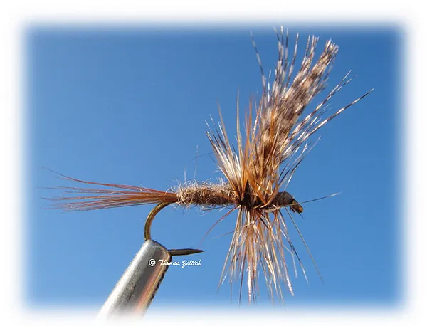 User submitted picture: March Brown