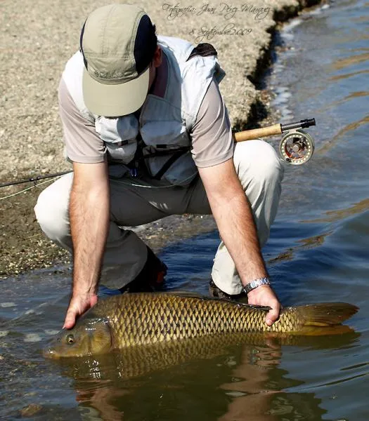 User submitted picture: Good weight and size, Com...