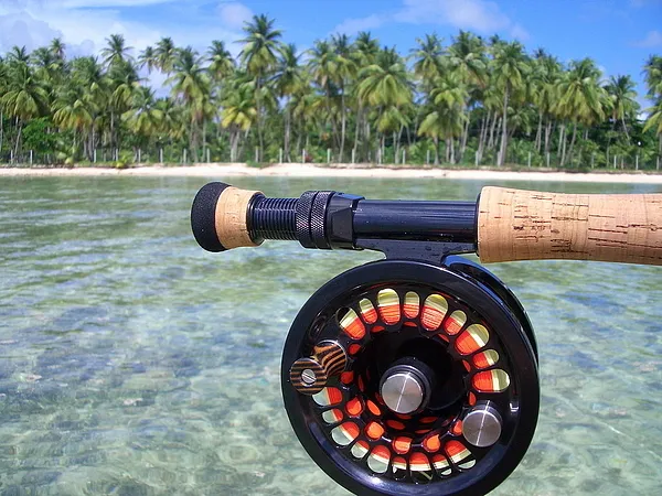 User submitted picture: "Winter" dreams......!
...