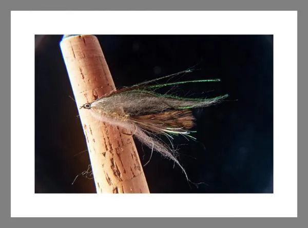 User submitted picture: Rabbitcollon Cura