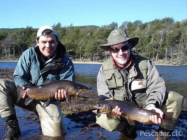 User submitted picture: My clients on a double ca...