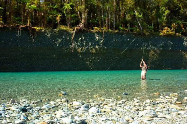 User submitted picture: fighting paringa trout