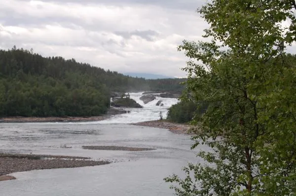 User submitted picture: Real miracle